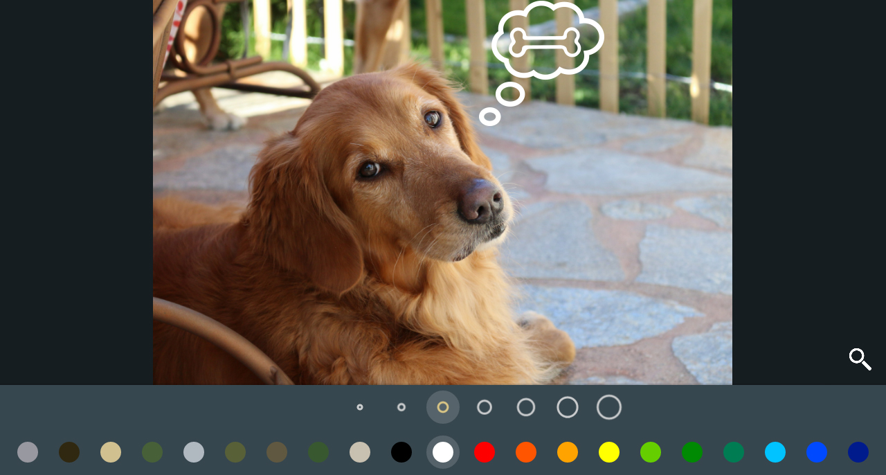 Amazing free photo editor for Android